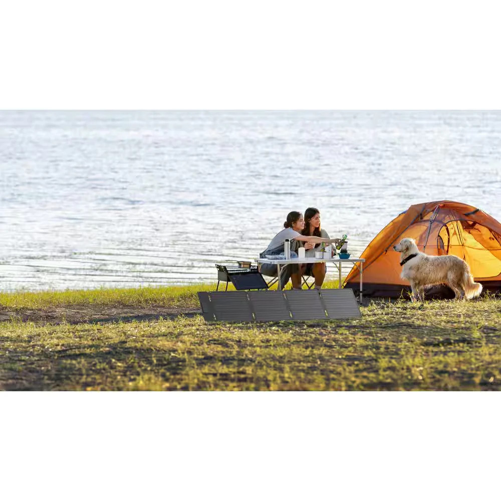 EcoFlow 60W TOPCon Portable Solar Panel IP68 Waterproof for RIVER 2 Series
