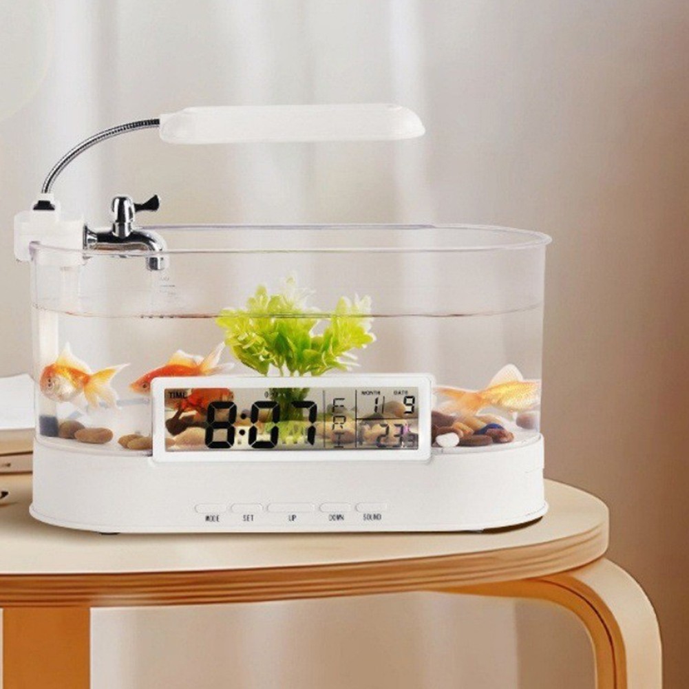Small Fish Tank with Colorful LED Lights and Integrated Desk Lamp Features