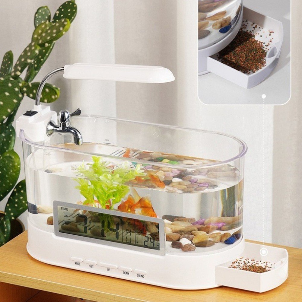 Small Fish Tank with Colorful LED Lights and Integrated Desk Lamp Features