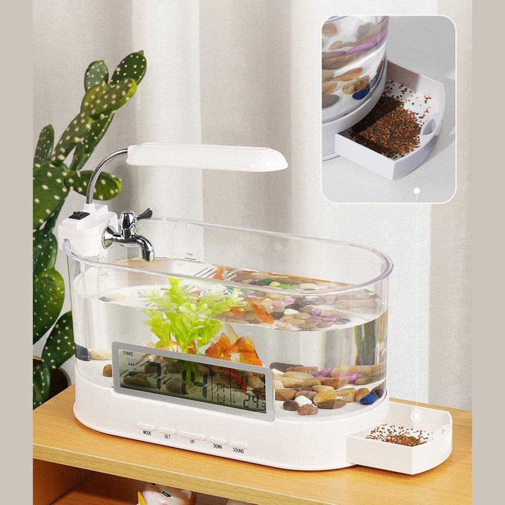 Small Fish Tank with Colorful LED Lights and Integrated Desk Lamp Features