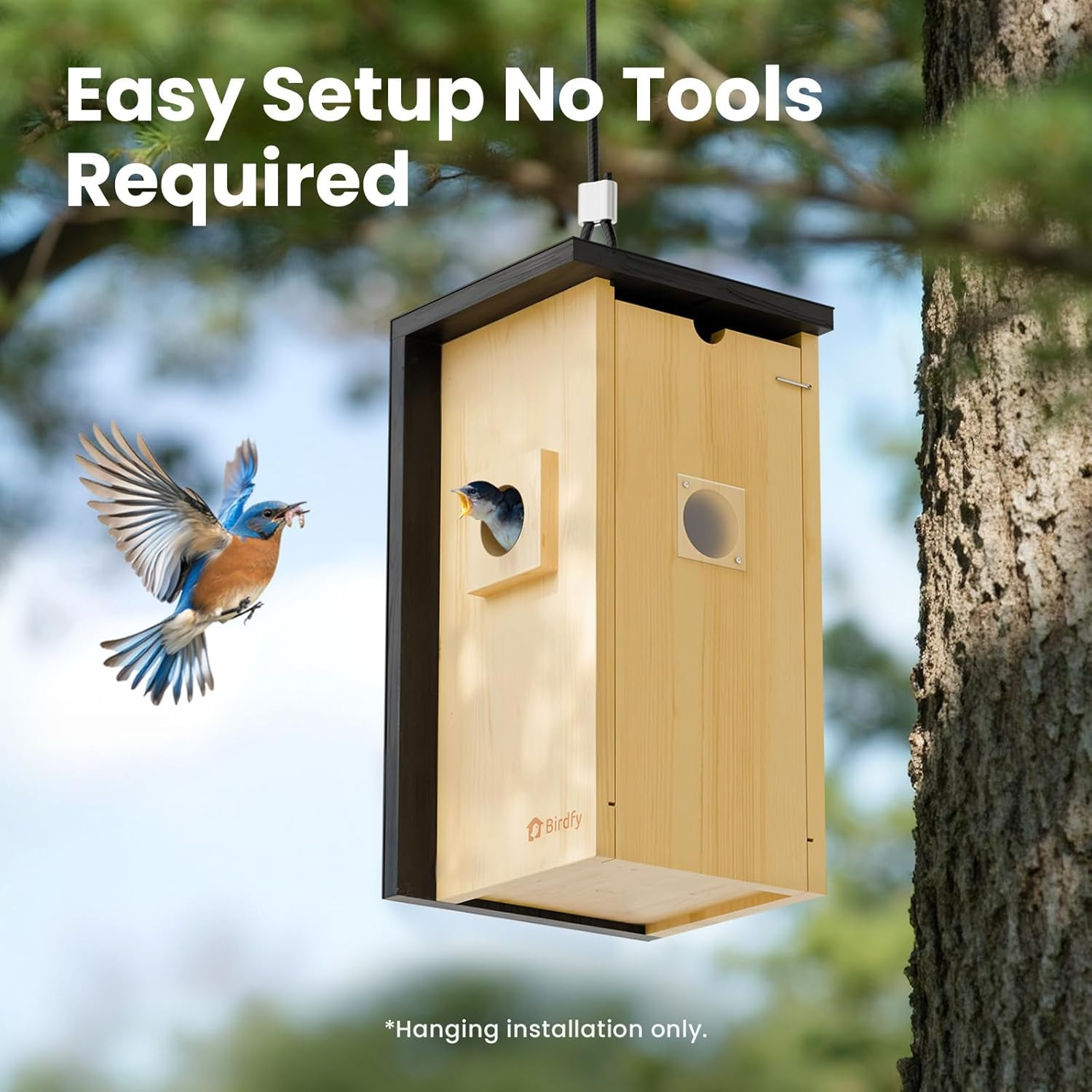 Bird House with Camera Solar Powered with Iron Guard for Outside, AI Identify, 1