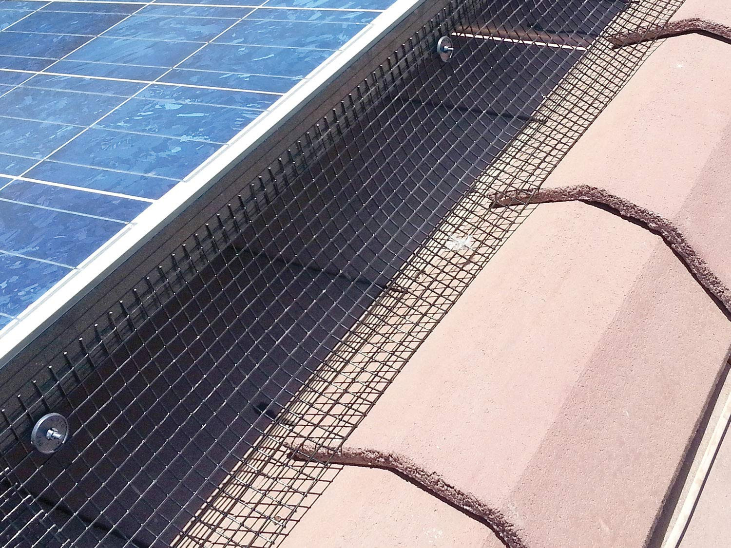 Solar Panel Bird/Critter Guard Fastener Clips | for Attaching Bird and Squirrel
