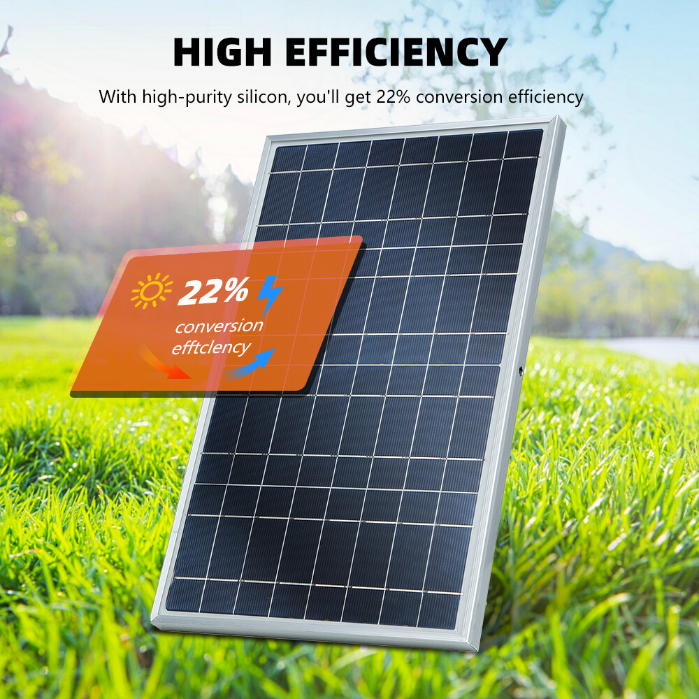 30W Solar Battery Trickle Charger Solar Panel Maintainer 100A Controller for RV
