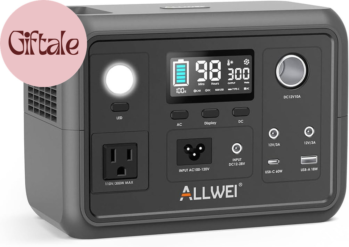 Portable Power Station 300W (Peak 600W) Upgraded, 256Wh Lifepo4 Battery Bank Sol
