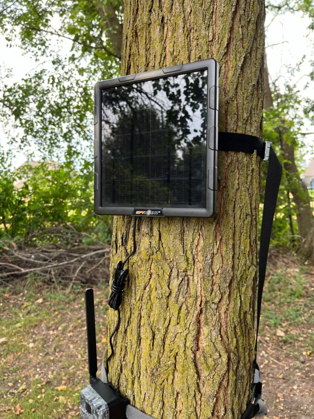 Solar Panel with Internal Battery for Outdoor Trail Cameras (SPLB-10)