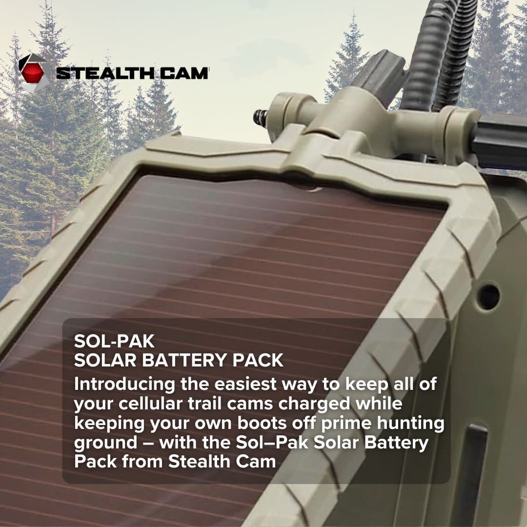 Stealth Cam Adjustable Multi Pivot Mounting Post 2 Pack with 2 x Battery Bundle
