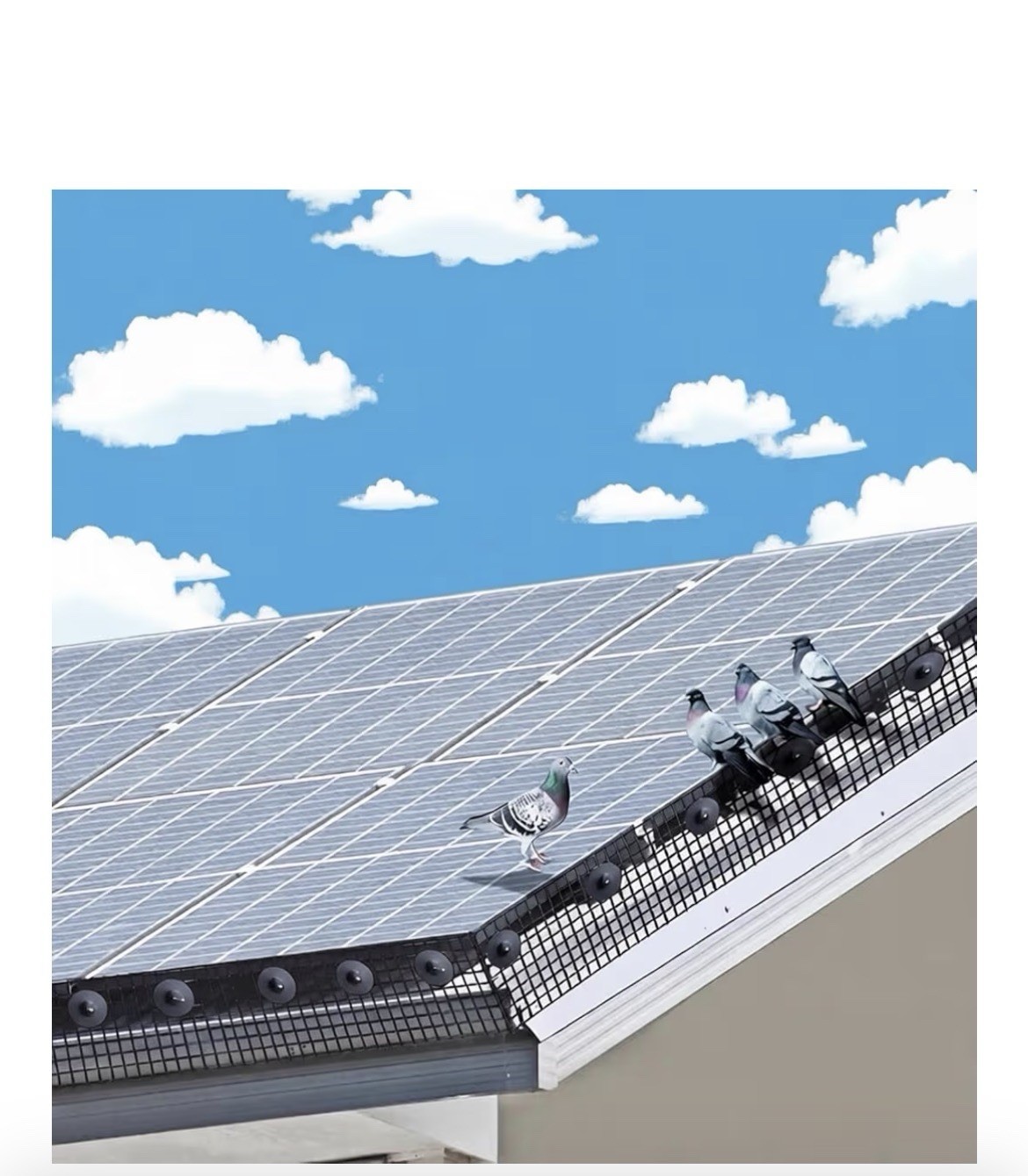Solar Panel Bird Wire Guard Kit PVC Welded Mesh Roof Pigeon Net 6in/8in x100ft