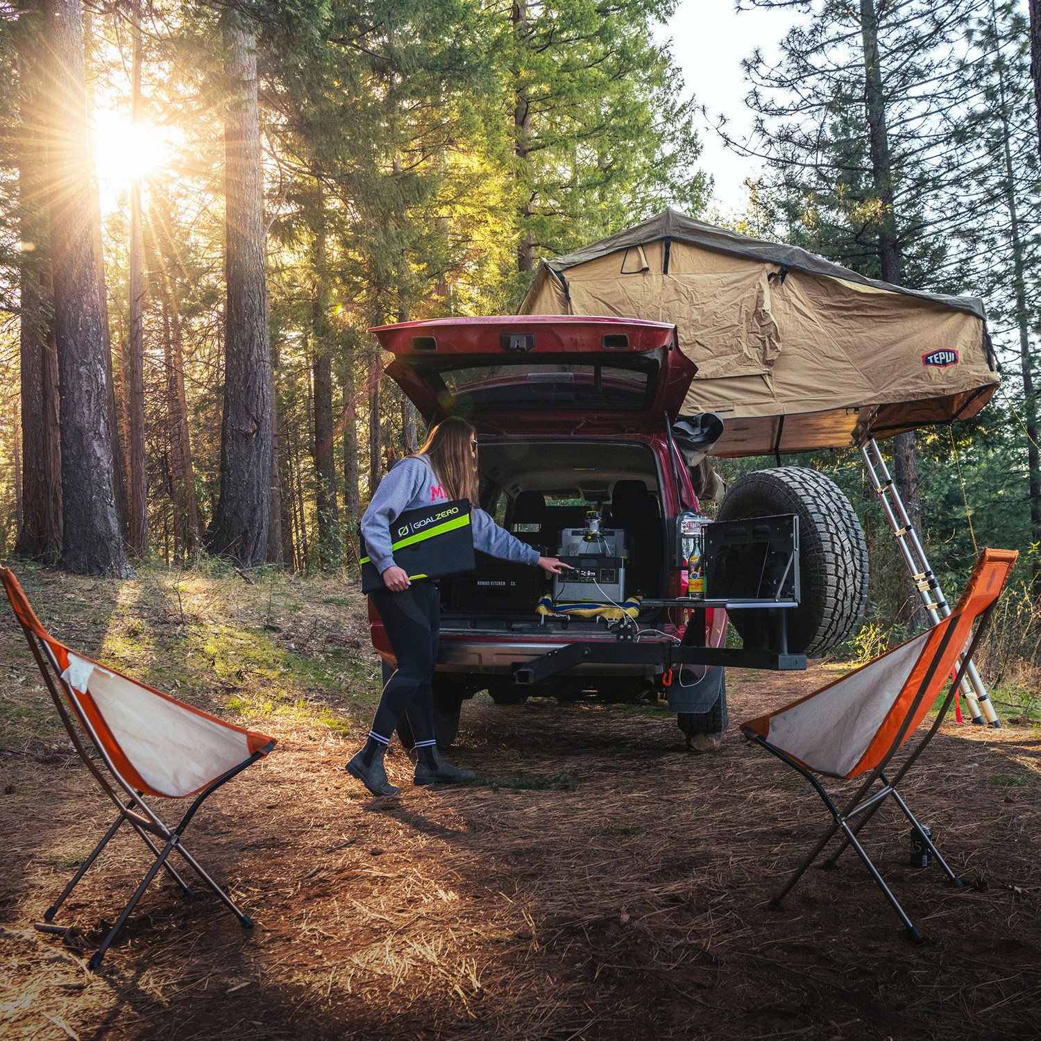 Goal Zero 11920 Nomad 50 Portable Solar Charger