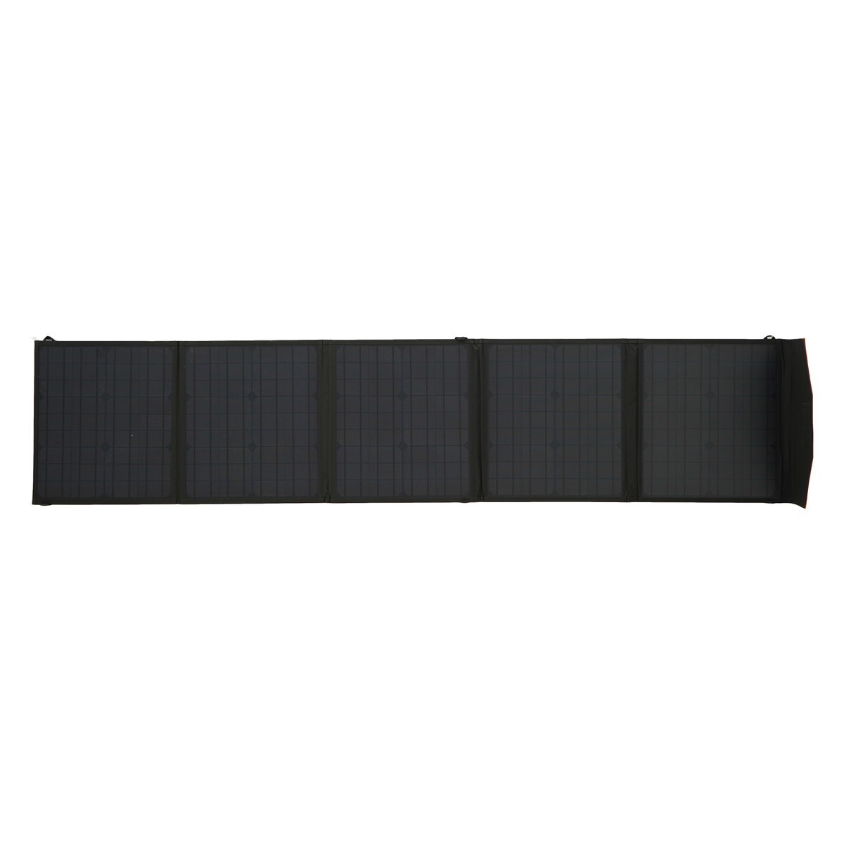 Massimo Portable Solar Panel – 100 W