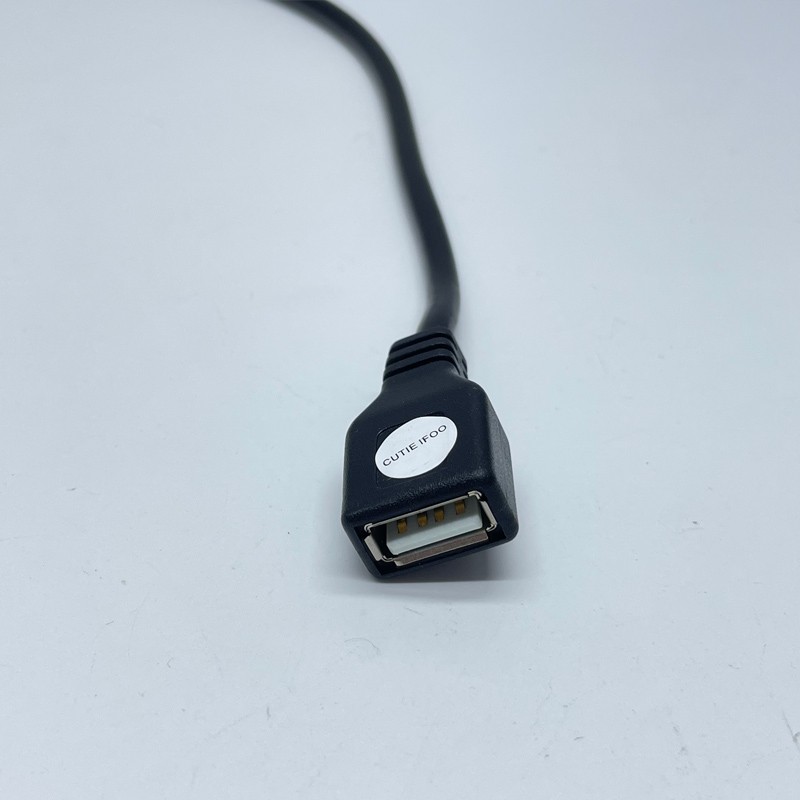 USB To 2pin Female Waterproof Extension Cord 30cm for Outdoor Panel Floodlight