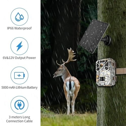 Solar Panel Charger for Trail Cameras – 5000mAh Rechargeable Battery, 12V/1A, IP
