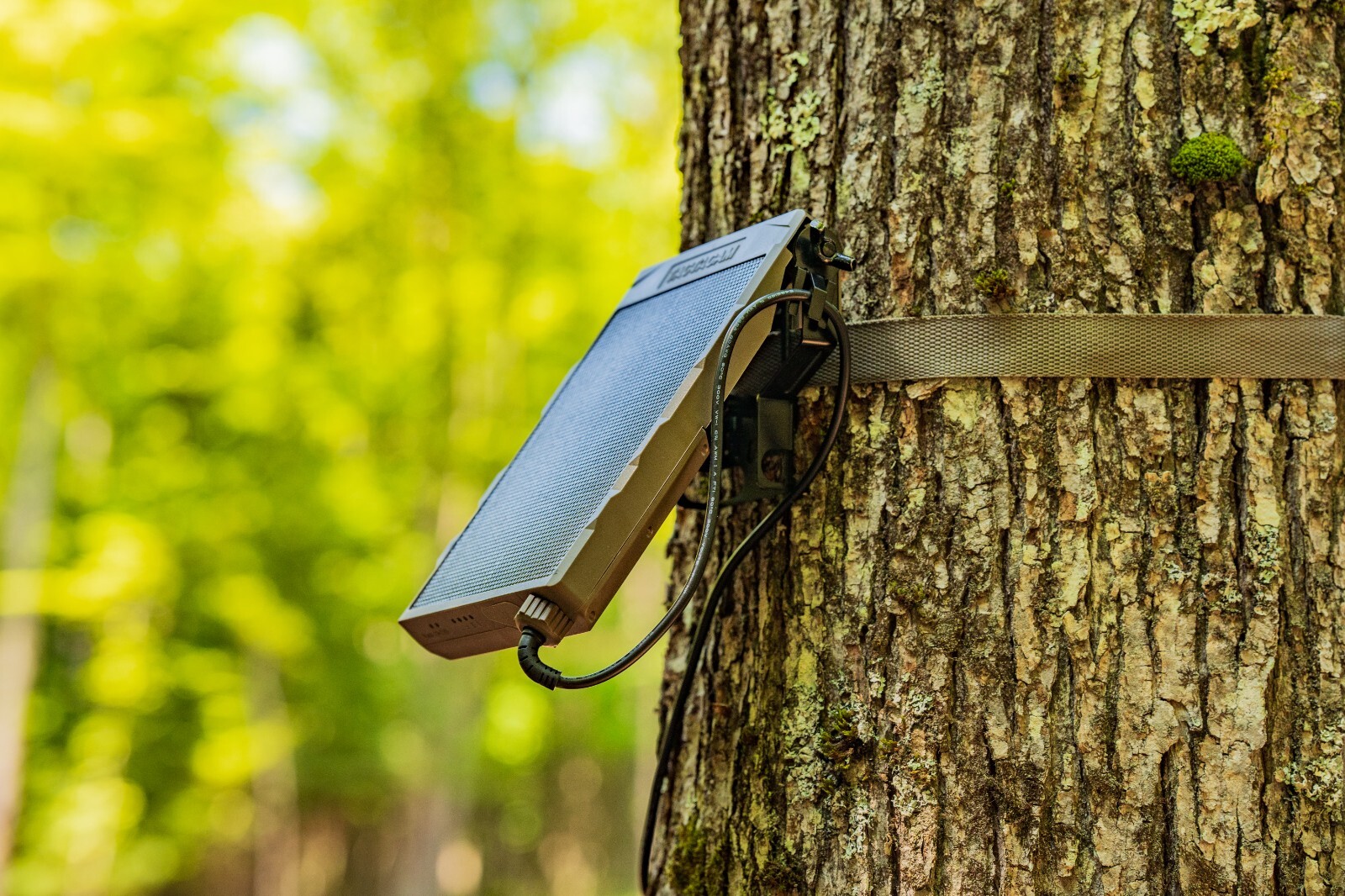 Tactacam Reveal External Solar Panel – Power Your Reveal Trail Camera with Solar