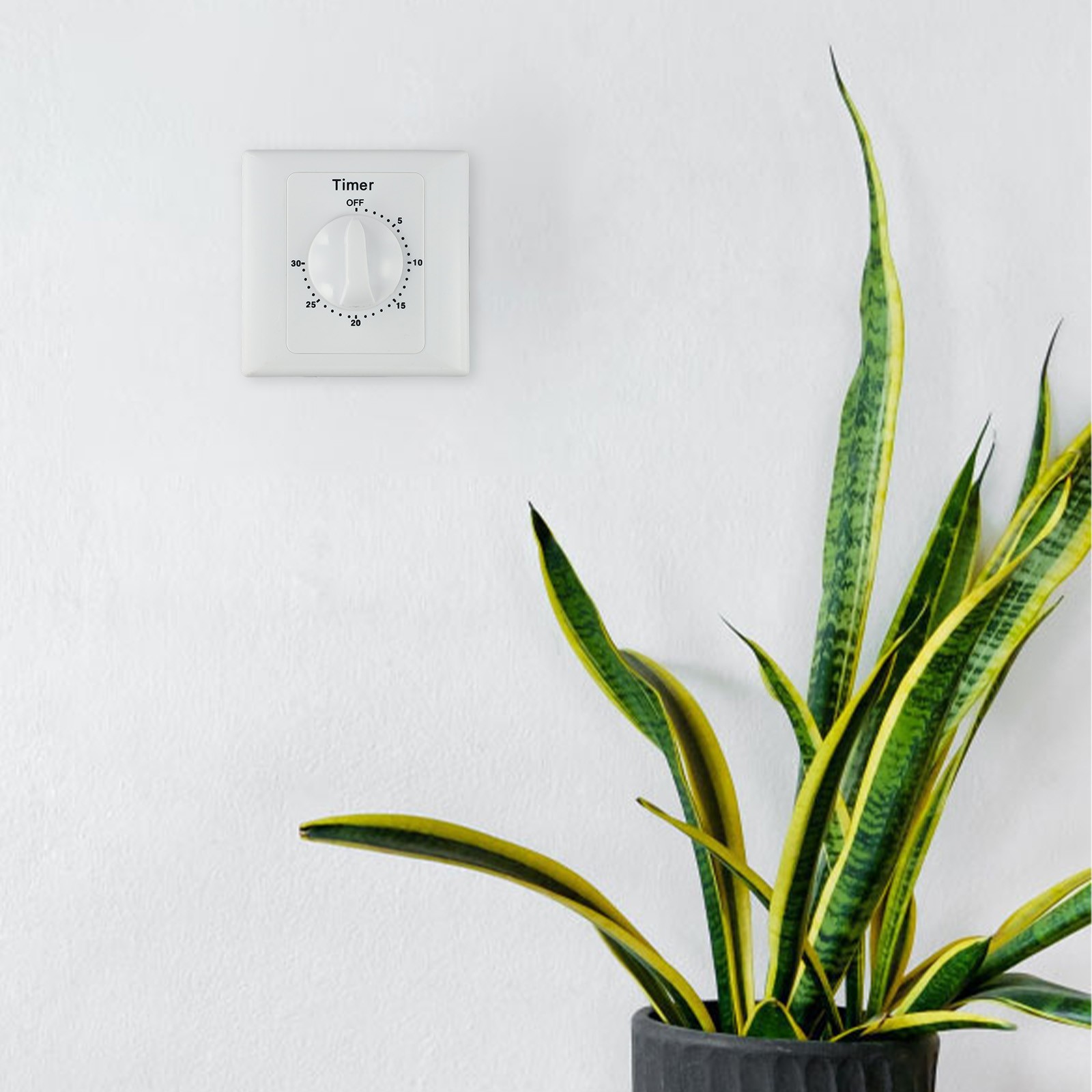 Diverse Application Digital Timer Control Socket to Enhance Convenience