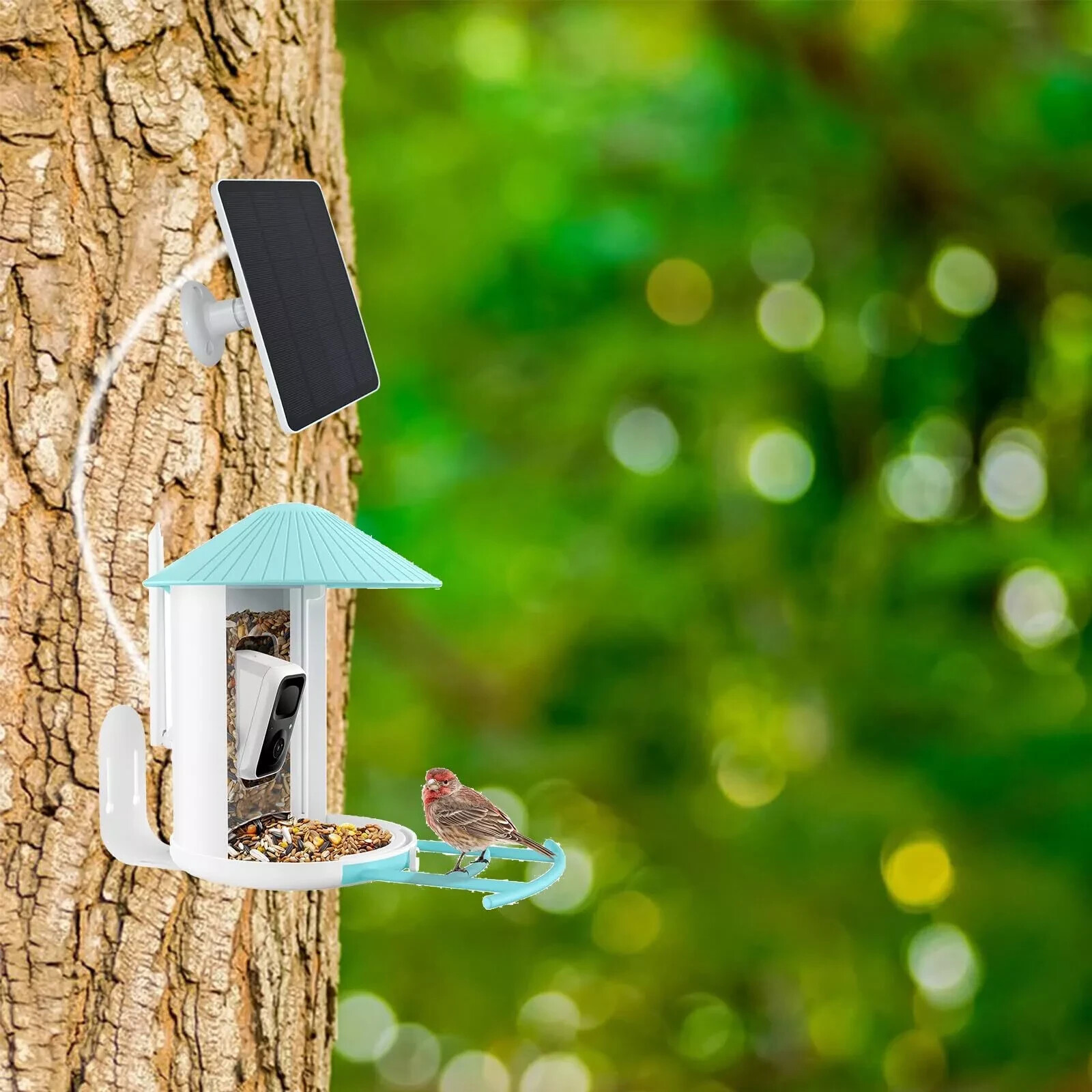 Solar Panel for Bird Feeder Camera Type-C Charger DC Charger Micro USB Charge…
