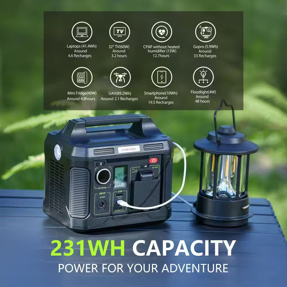 TP300 300-Watt Portable Power Station Push Button Battery Generator