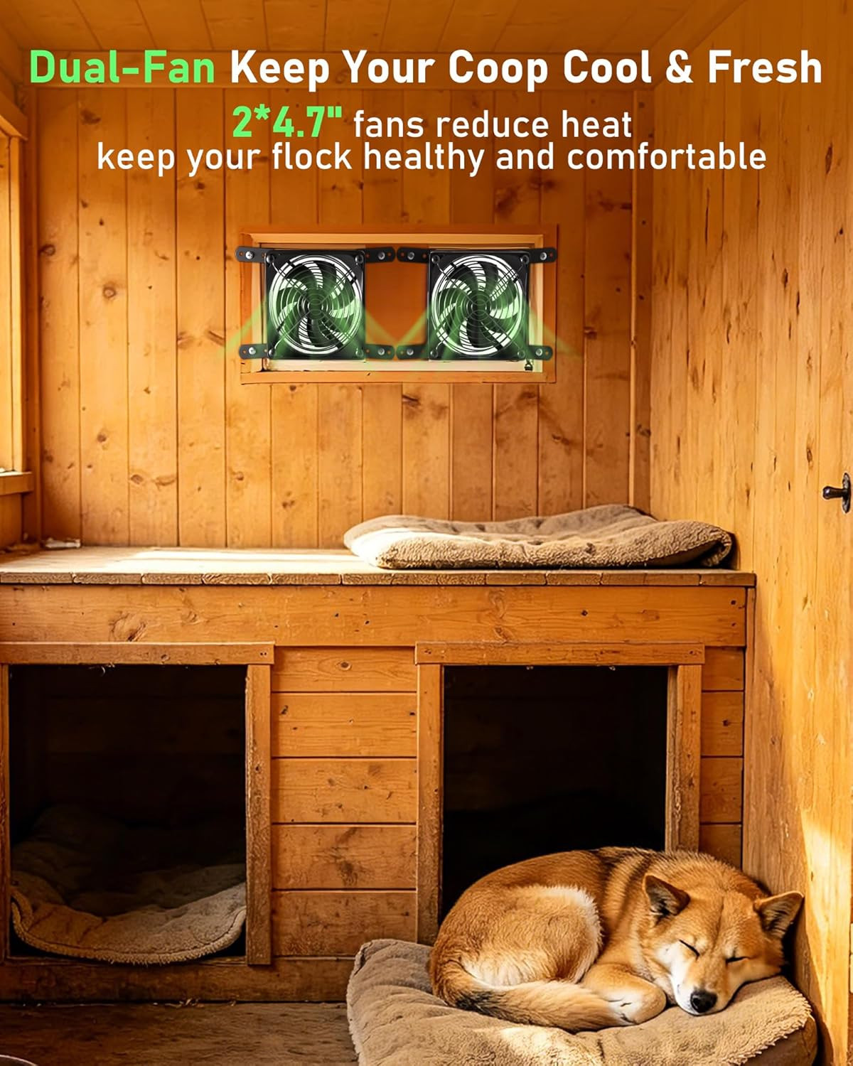 Solar Powered Chicken Coop Fan with 25W Panel & 3 Smart Modes, 2 Fans